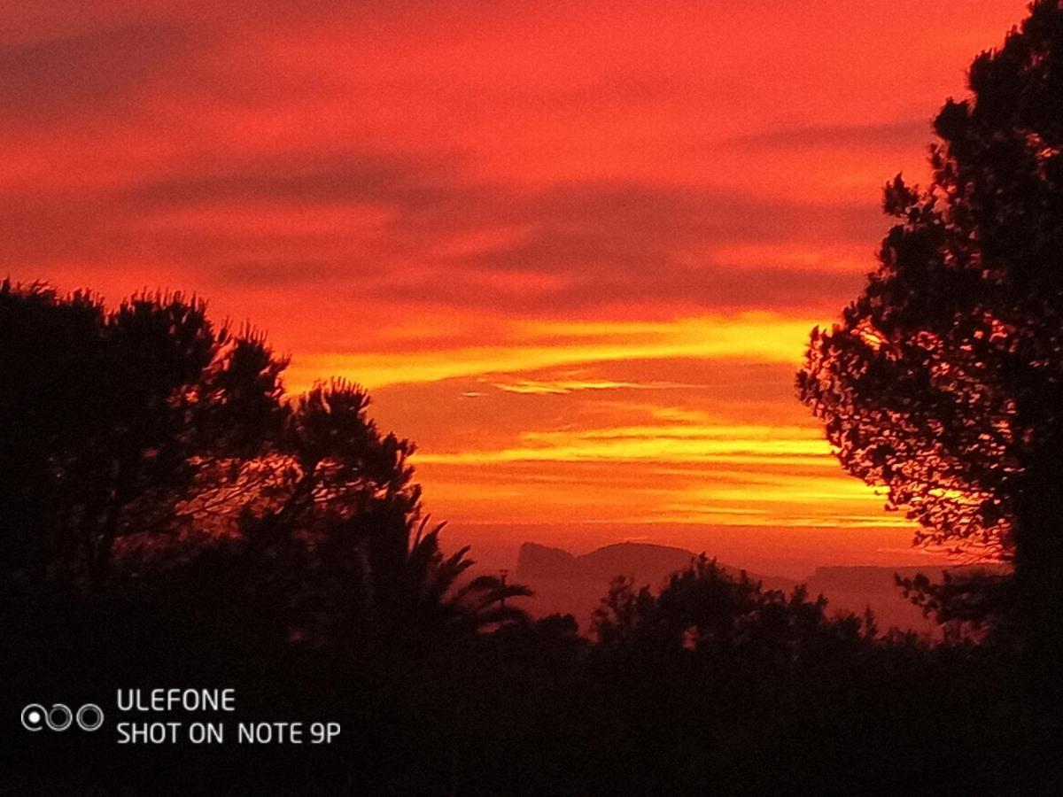 Affittacamere Arcamyrtus Alghero Esterno foto
