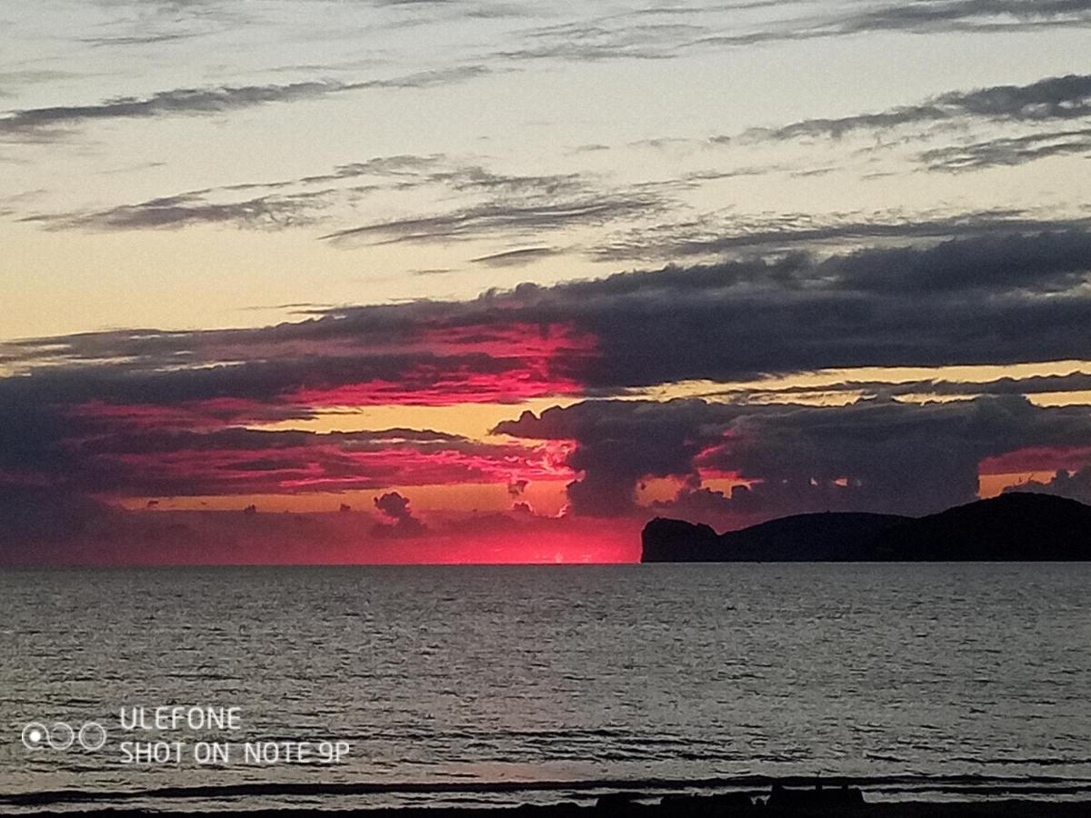 Affittacamere Arcamyrtus Alghero Esterno foto
