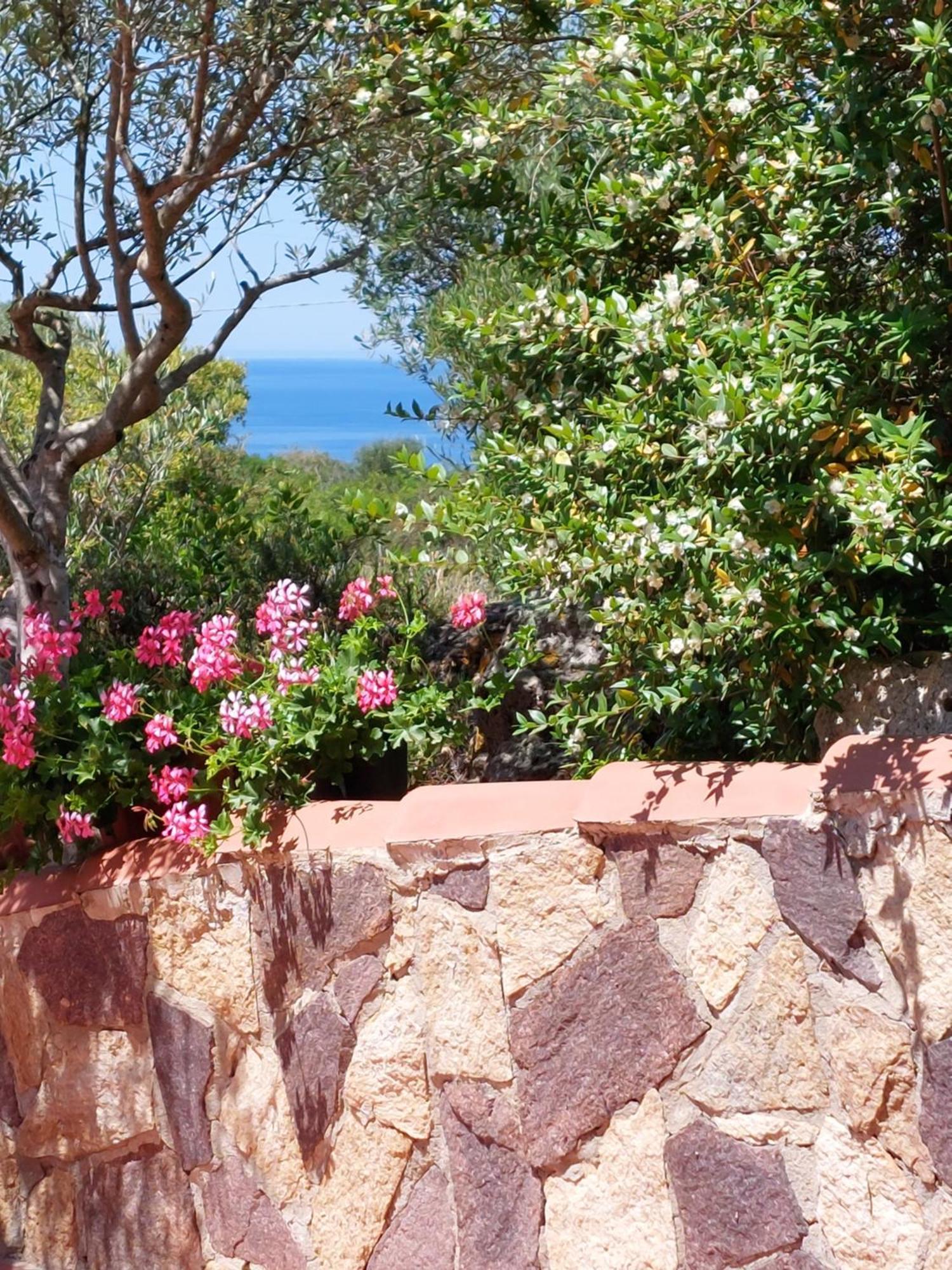 Affittacamere Arcamyrtus Alghero Esterno foto