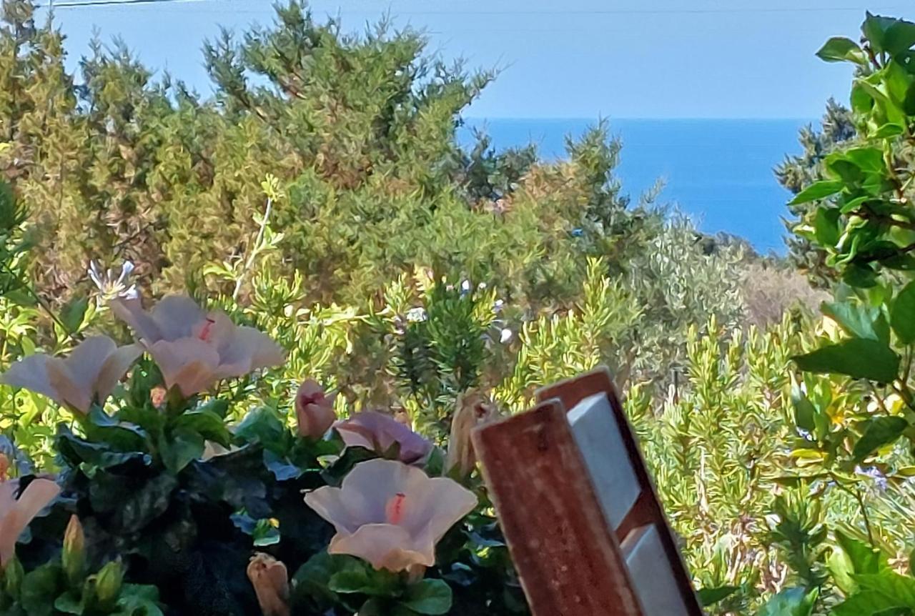 Affittacamere Arcamyrtus Alghero Esterno foto