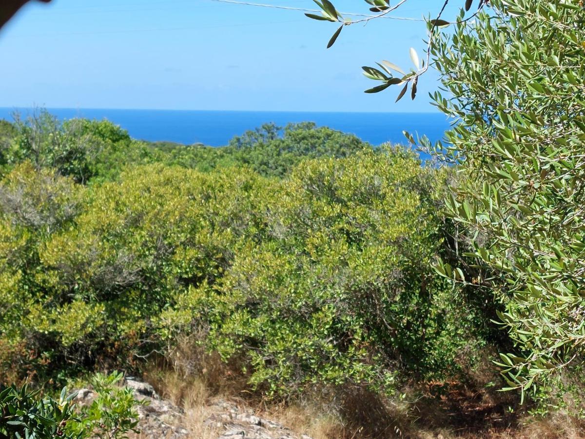 Affittacamere Arcamyrtus Alghero Esterno foto