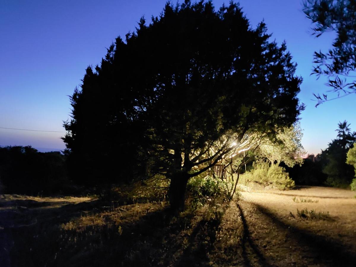 Affittacamere Arcamyrtus Alghero Esterno foto