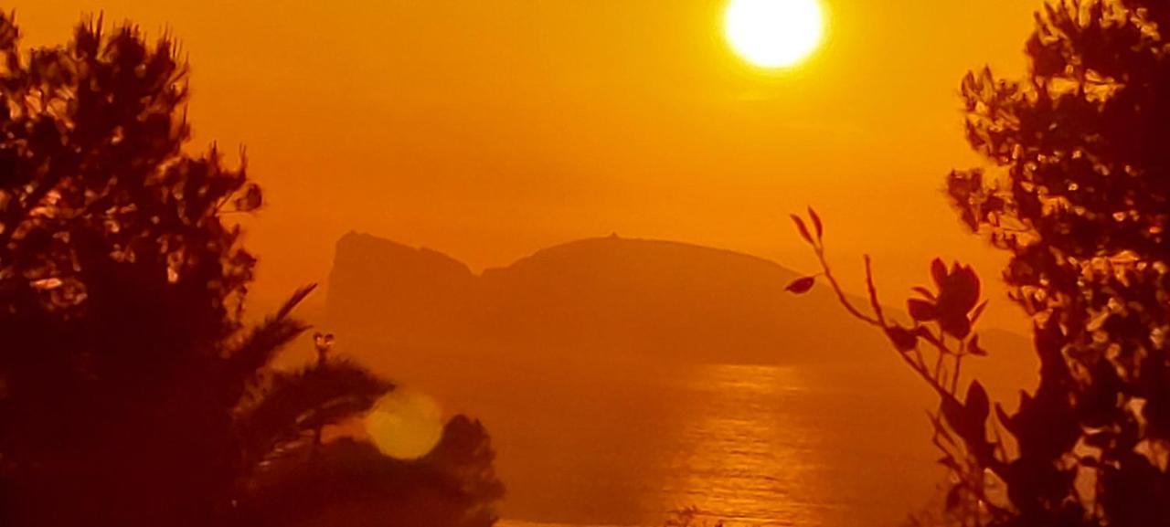 Affittacamere Arcamyrtus Alghero Esterno foto