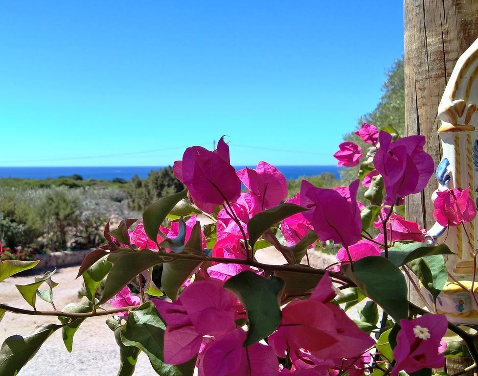 Affittacamere Arcamyrtus Alghero Esterno foto