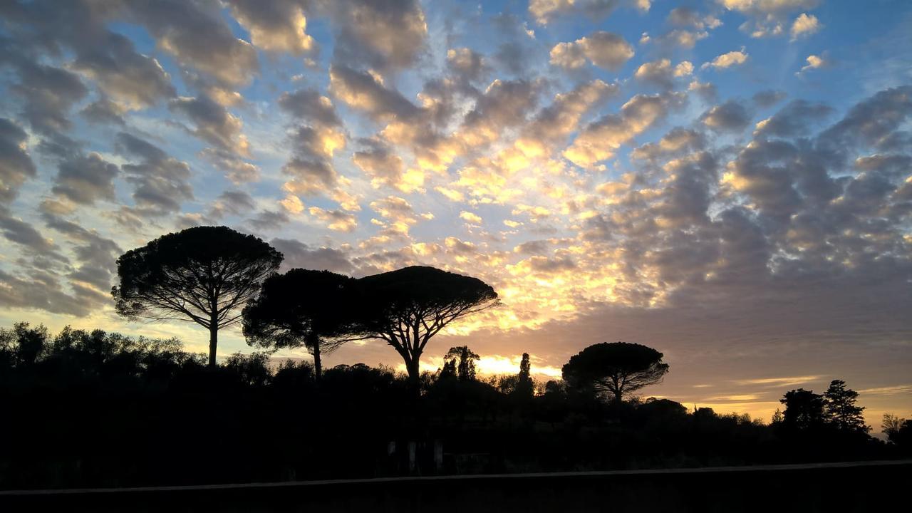 Affittacamere Arcamyrtus Alghero Esterno foto