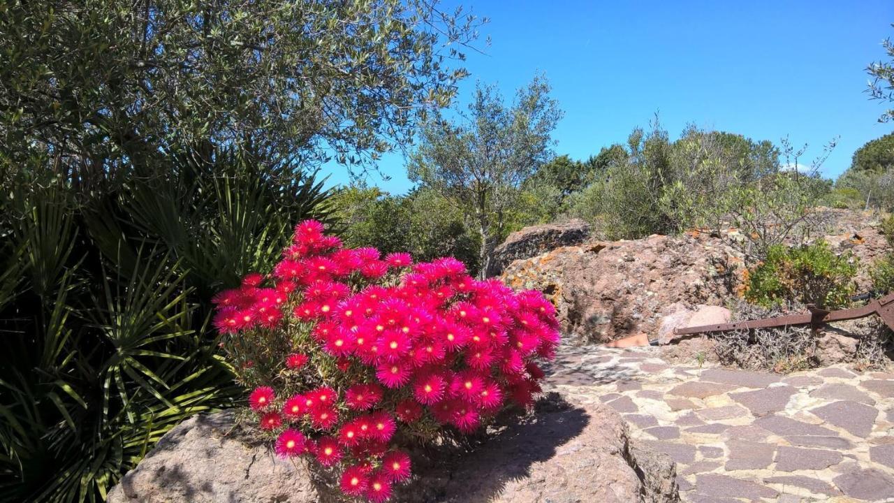 Affittacamere Arcamyrtus Alghero Esterno foto
